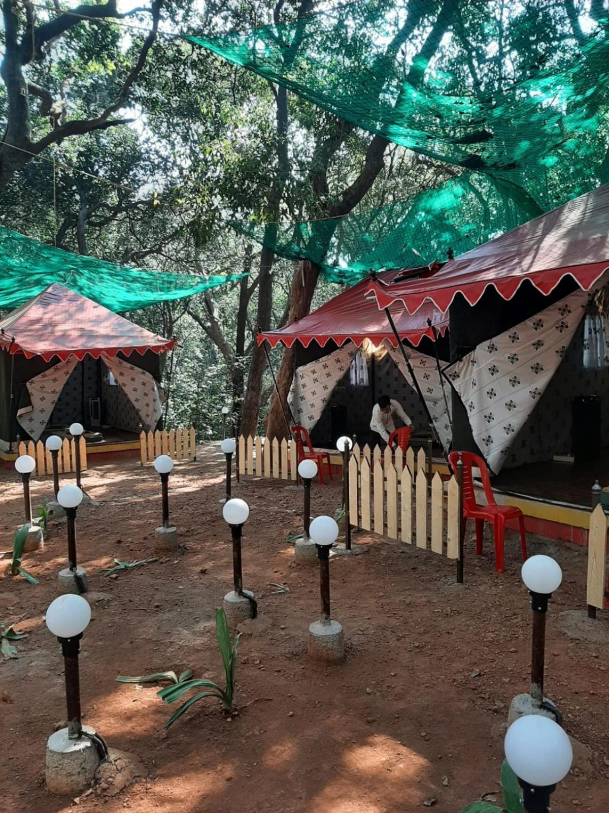 Campsite Nature Glamping *
